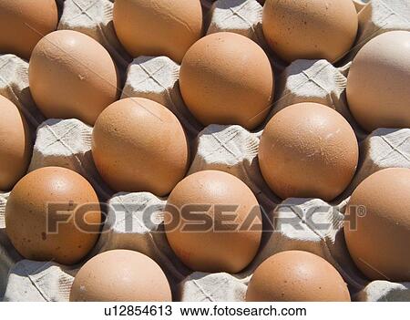 Brown eggs in carton View Large Photo Image Stock Image - Brown eggs in carton . Fotosearch