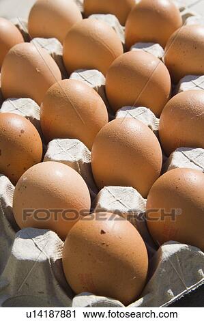Brown eggs in carton View Large Photo Image Stock Image - Brown eggs in carton . Fotosearch