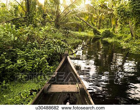 Canoe in the jungle, Kerala, India View Large Photo Image Stock Image - Canoe in the jungle, Kerala, India . Fotosearch