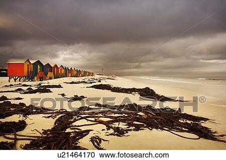 Changing huts along the beach, Cape Town, South Africa View Large Photo Image Stock Image - Changing huts along the beach, Cape Town, South Africa. Fotosearch