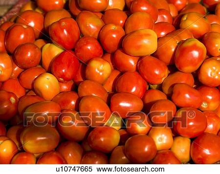 Cherry tomatoes View Large Photo Image Stock Photography - Cherry tomatoes. Fotosearch