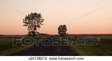 Dirt road through fields, Manitoba, Canada View Large Photo Image Stock Photography - Dirt road through fields, Manitoba, Canada. Fotosearch