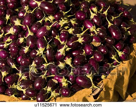 Eggplants, Jaipur, India View Large Photo Image Stock Image - Eggplants, Jaipur, India . Fotosearch