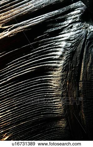 Stock Photo - Flowing lines. Fotosearch
