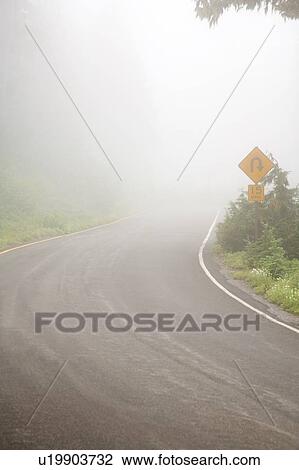 Foggy road, Mount Rainier National Park, Washington, USA View Large Photo Image Stock Image - Foggy road, Mount Rainier National Park, Washington, USA. Fotosearch