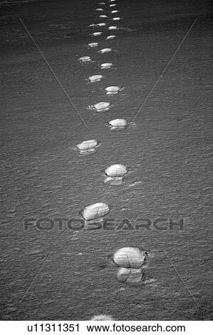 Stock Image - Footprints in snow. Fotosearch