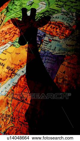 Giraffe silhouette with map background View Large Photo Image Picture - Giraffe silhouette with map background. Fotosearch