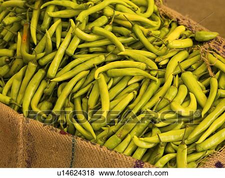 Green peppers View Large Photo Image Stock Photo - Green peppers. Fotosearch