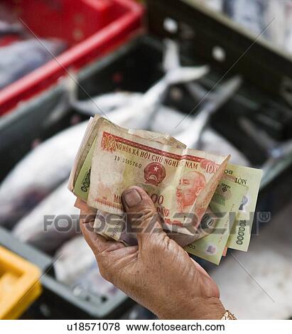 Handing over money at a fish market, Vietnam View Large Photo Image Stock Photo - Handing over money at a fish market, Vietnam. Fotosearch
