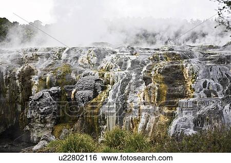 Hot springs in Rotorua, New Zealand View Large Photo Image Stock Photograph - Hot springs in Rotorua, New Zealand. Fotosearch