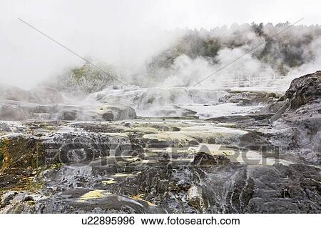 Hot springs in Rotorua, New Zealand View Large Photo Image Stock Photograph - Hot springs in Rotorua, New Zealand. Fotosearch