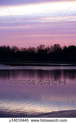 Lake and trees at sunrise View Large Photo Image Stock Photography - Lake and trees at sunrise. Fotosearch