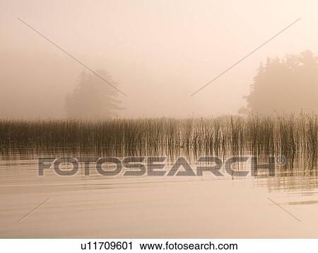 Lake of the Woods, Ontario, Canada, A fog covered lake View Large Photo Image Stock Image - Lake of the Woods, Ontario, Canada, A fog covered lake. Fotosearch