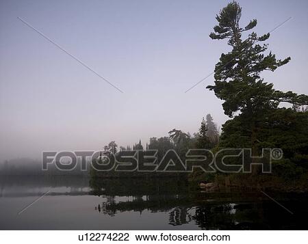 Lake of the Woods, Ontario, Canada, Reflections on a lake View Large Photo Image Stock Image - Lake of the Woods, Ontario, Canada, Reflections on a lake. Fotosearch