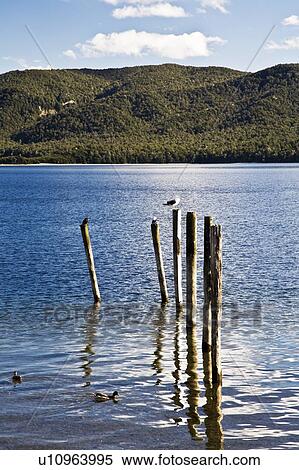 Stock Photography - Lake Te Anau, New Zealand. Fotosearch
