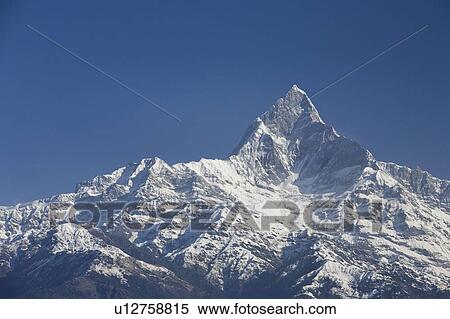 Machapuchhre or Fishtail Mountain in the Annapurna region of Nepal near Pokhara, Nepal View Large Photo Image Stock Photography - Machapuchhre or Fishtail Mountain in the Annapurna region of Nepal near Pokhara, Nepal. Fotosearch