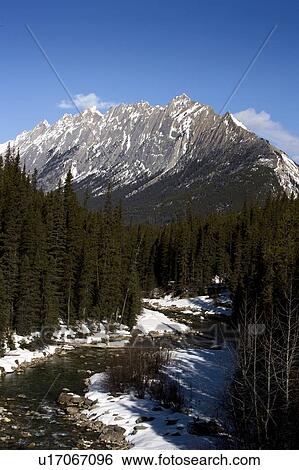 Maligne mountains in Jasper National Park, Alberta, Canada View Large Photo Image Stock Photograph - Maligne mountains in Jasper National Park, Alberta, Canada. Fotosearch
