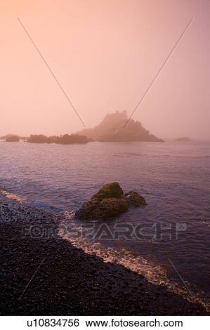 Morning fog along Cobel Beach, Yaquina Head, Oregon Coast, USA View Large Photo Image Stock Photograph - Morning fog along Cobel Beach, Yaquina Head, Oregon Coast, USA. Fotosearch