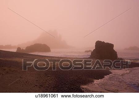 Morning fog, Cobel Beach, Yaquina Head, Oregon Coast, USA View Large Photo Image Stock Image - Morning fog, Cobel Beach, Yaquina Head, Oregon Coast, USA. Fotosearch