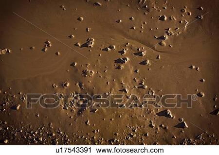 Mud View Large Photo Image Stock Image - Mud. Fotosearch