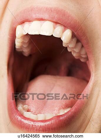 Open mouth View Large Photo Image Stock Photography - Open mouth. Fotosearch