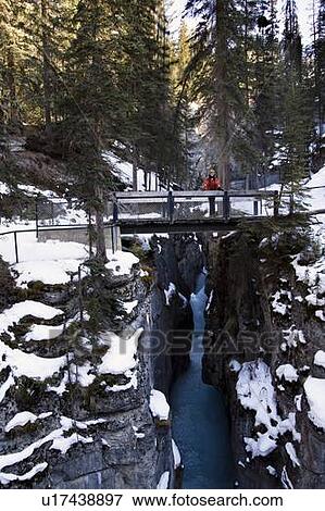 Person standing on a bridge, Maligne Canyon, Jasper National Park, Alberta, Canada View Large Photo Image Stock Photo - Person standing on a bridge, Maligne Canyon, Jasper National Park, Alberta, Canada. Fotosearch
