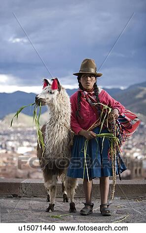 Stock Image - Peruvian woman with her llama (Lama glama), Cuzco, Peru. Fotosearch