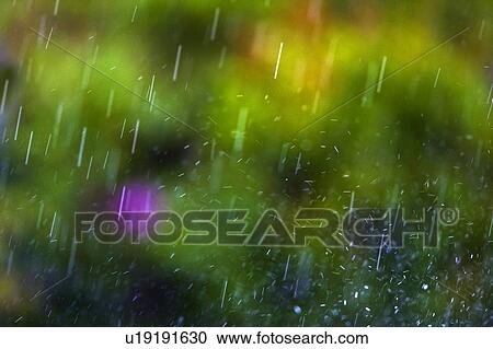 Stock Image - Rainfall. Fotosearch