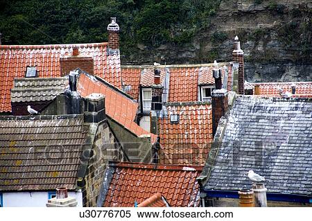 Rooftops Of Staithes, North Yorkshire, England View Large Photo Image Stock Photography - Rooftops Of Staithes, North Yorkshire, England. Fotosearch