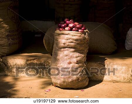 Sack of onions, Kerala, India View Large Photo Image Stock Photo - Sack of onions, Kerala, India . Fotosearch