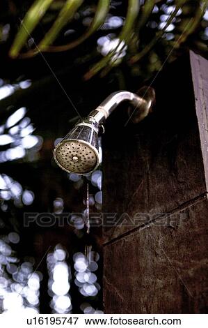 Stock Photo - Shower head. Fotosearch