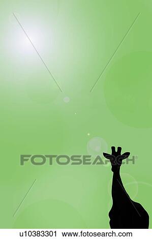 Silhouette of a giraffe View Large Photo Image Stock Image - Silhouette of a giraffe. Fotosearch