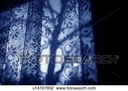 Stock Image - Silhouette of a tree through curtains. Fotosearch