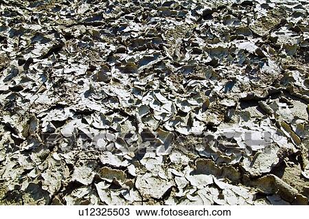 Stock Image - Snow on the ground. Fotosearch