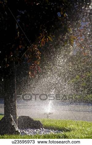 Sprinkler watering a lawn View Large Photo Image Stock Image - Sprinkler watering a lawn. Fotosearch