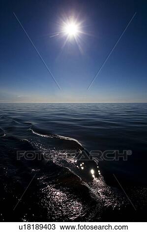 Sun over the water View Large Photo Image Stock Image - Sun over the water. Fotosearch
