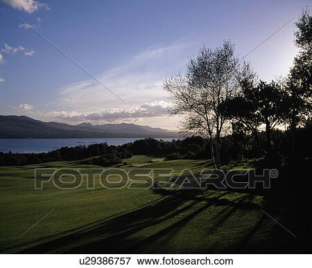 Stock Photo - Sun setting behind the trees. Fotosearch