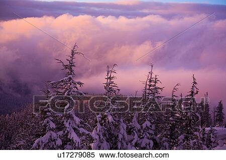 Sunrise Over Mount Hood, Oregon, USA View Large Photo Image Stock Photography - Sunrise Over Mount Hood, Oregon, USA. Fotosearch