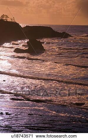 Sunset, Oregon Coast, USA View Large Photo Image Stock Image - Sunset, Oregon Coast, USA. Fotosearch