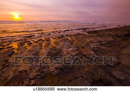 Stock Photo - Sunset, Oregon coast, USA. Fotosearch