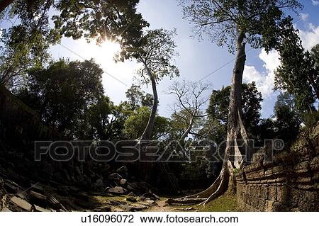 Temple ruins in the ancient city of Angkor Wat, Northwestern Cambodia View Large Photo Image Stock Image - Temple ruins in the ancient city of Angkor Wat, Northwestern Cambodia. Fotosearch