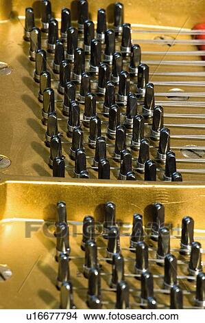 Picture - The inside of a piano. Fotosearch