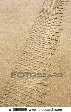Stock Photograph - Tire tracks in the sand. Fotosearch