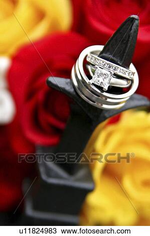 Stock Image - Wedding rings on display. Fotosearch