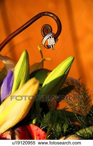 Wedding rings on metal spiral over floral bouquet View Large Photo Image Stock Photography - Wedding rings on metal spiral over floral bouquet. Fotosearch