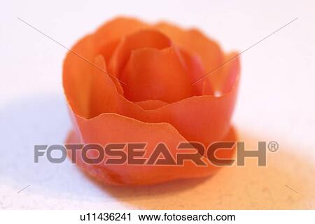 A decorative tomato flower View Large Photo Image Stock Image - A decorative tomato flower. Fotosearch