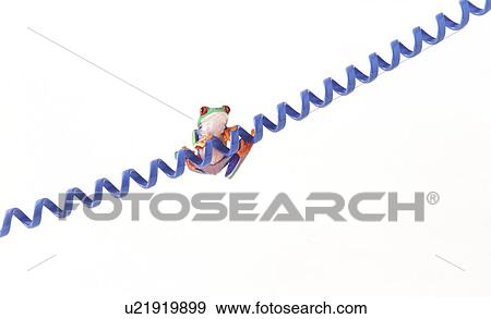 Stock Photo - A frog on a cord. Fotosearch