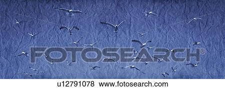 A group of birds View Large Photo Image Stock Photo - A group of birds. Fotosearch