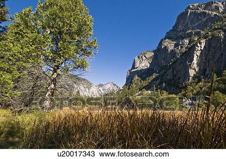 Stock Image - A scene in Kings Canyon National Park, California, USA. Fotosearch