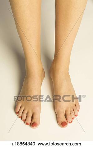A woman's feet View Large Photo Image Stock Image - A woman's feet. Fotosearch